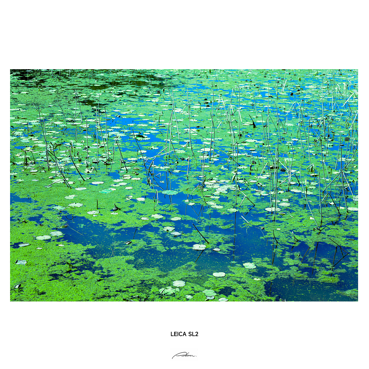 Landscape Photography