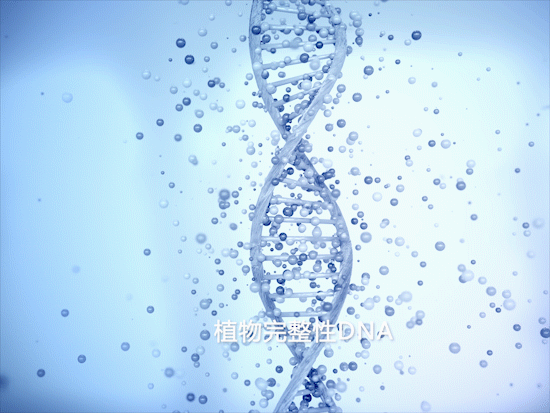 电商视频 | 科研植萃风格产品视频（图ZMzQ1MDczMzUy） - 短片 - 站酷设计师娜家视觉原创素材 - 站酷ZCOOL