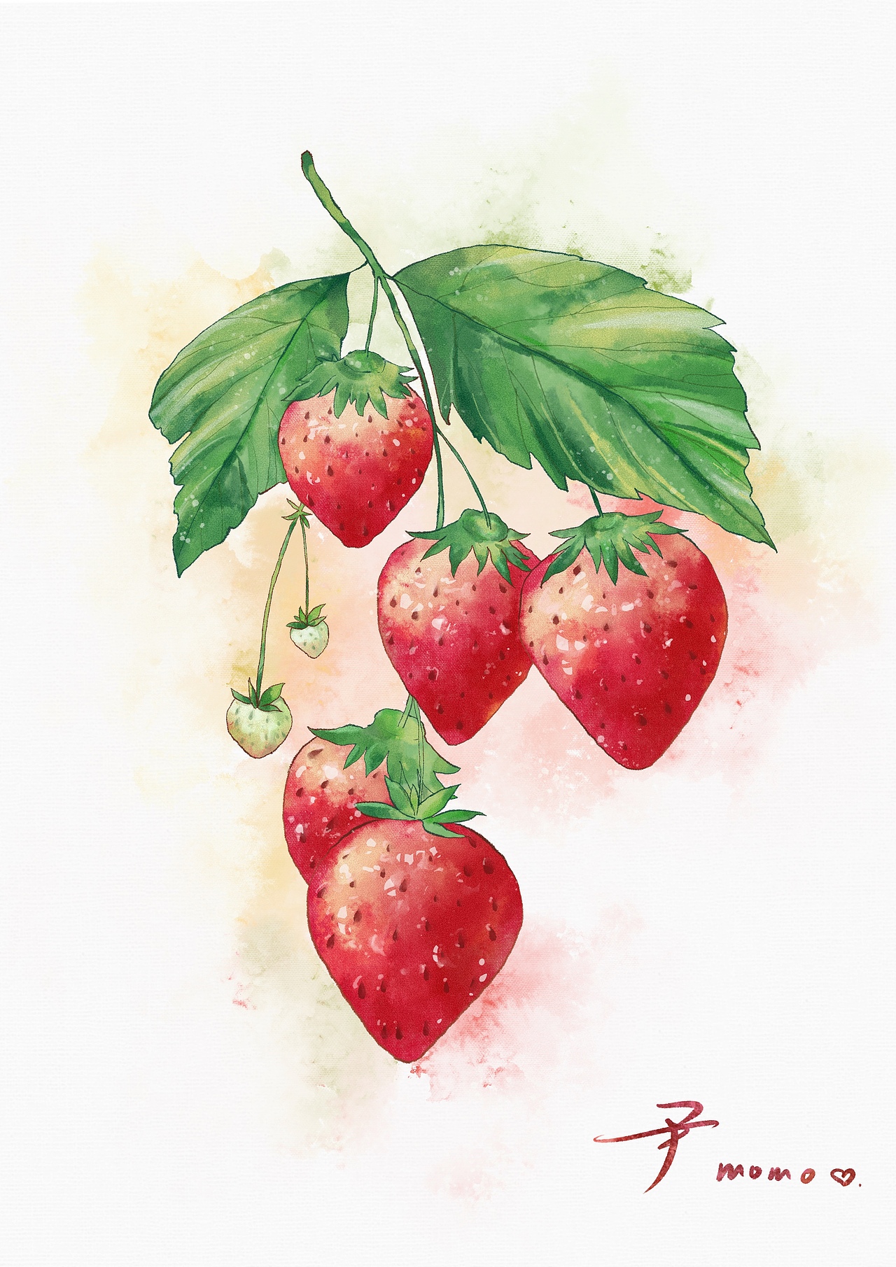 水彩草莓（图ZMzMwMjM1NTI0） - 创作习作 - 站酷设计师尹momo努力画画原创素材 - 站酷ZCOOL