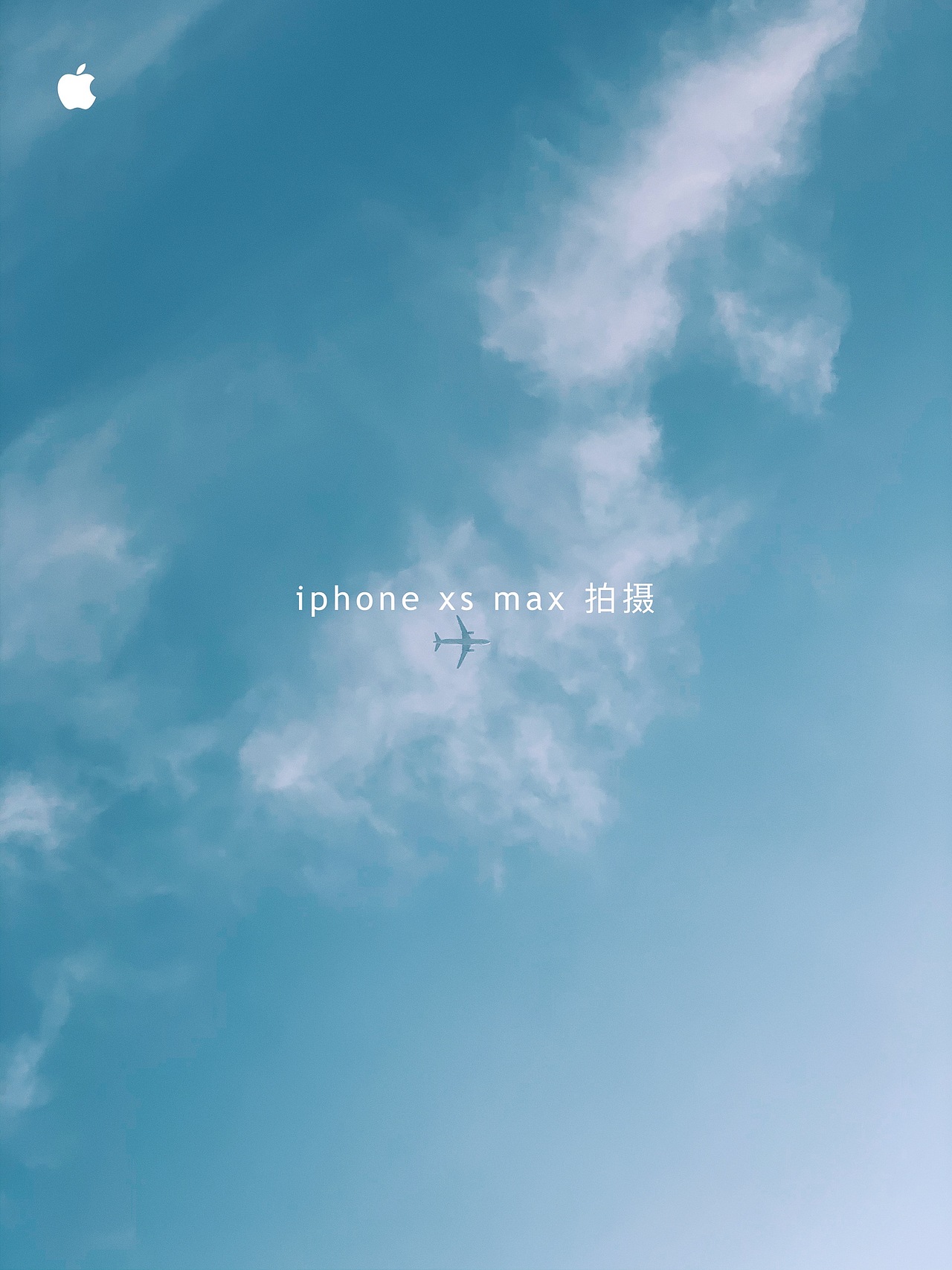 天地有大美而不言