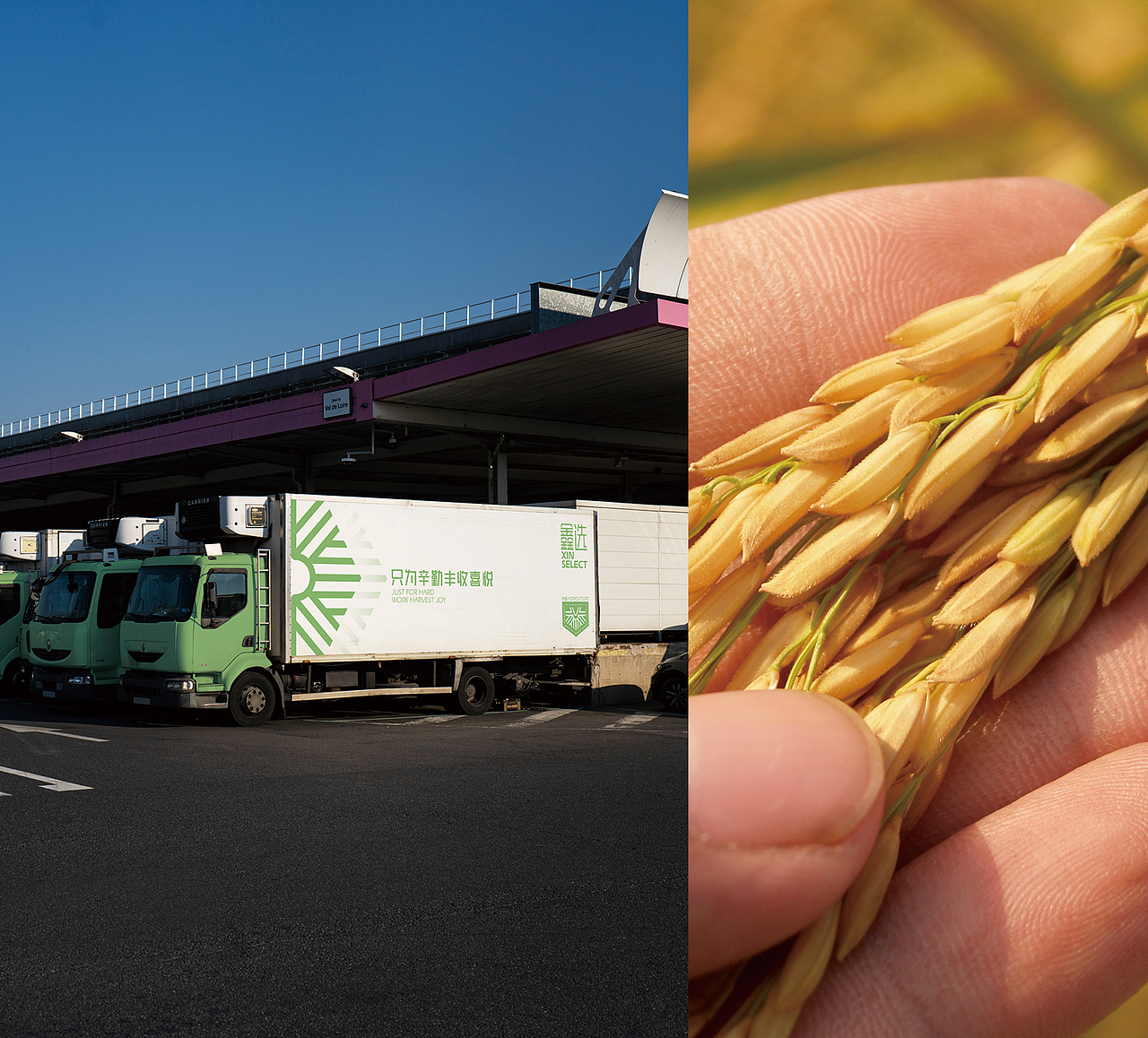 鑫选SELECT | 只为丰收喜悦