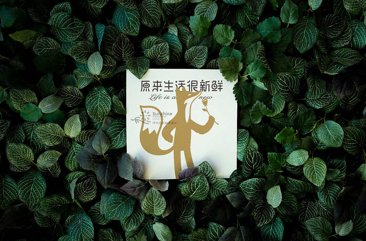 品牌全案设计 LOGO VI vi设计 西餐品牌设计 包装设计(图ZMjk4NTYyNDQ0) - 品牌 - 站酷设计师郑昌洪品牌vi包装原创素材 - 站酷ZCOOL