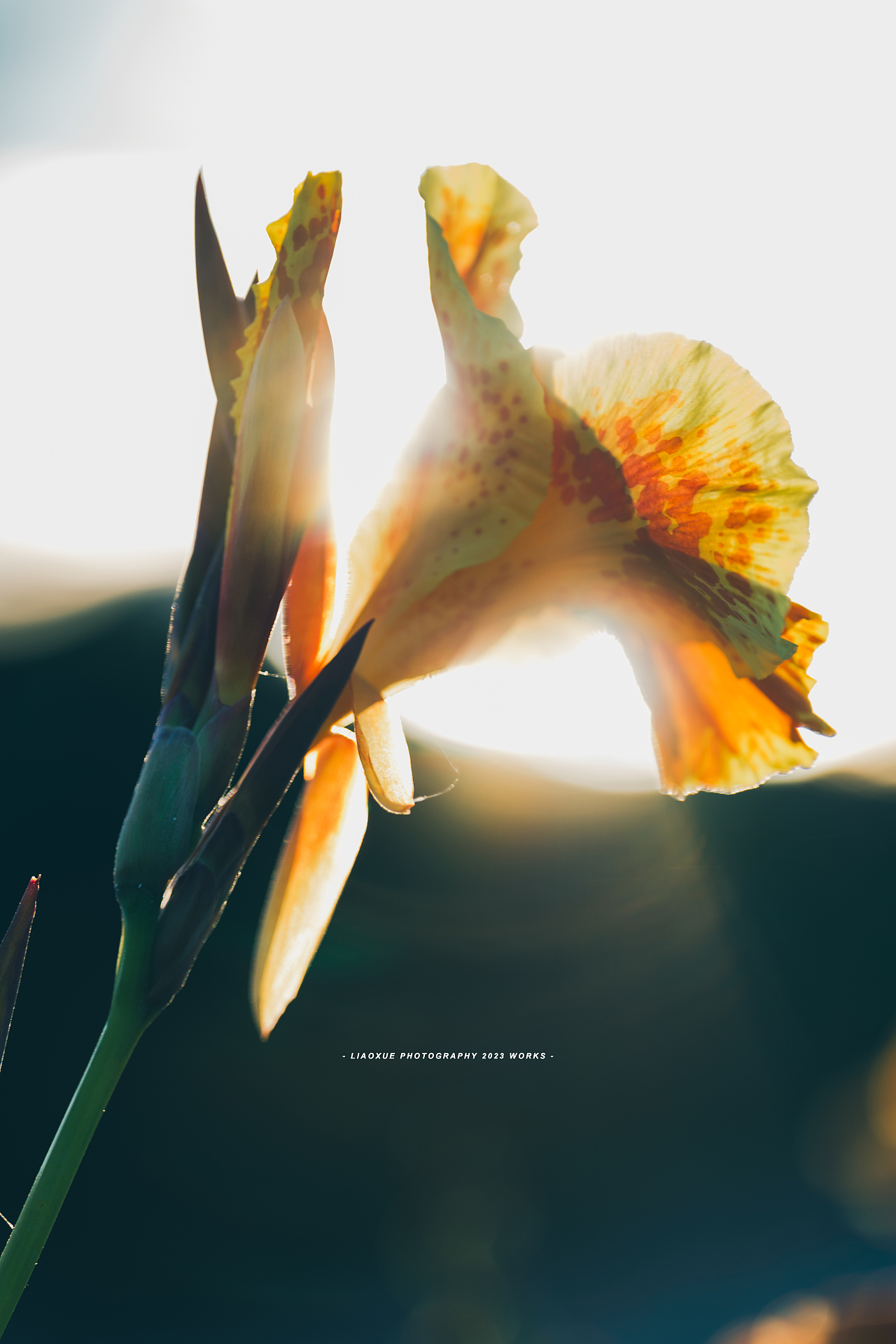 旅行摄影流水帐|镜头里的秋（图ZMzUzMDI5MjA0） - 人文/纪实摄影 - 站酷设计师雪小廖原创素材 - 站酷ZCOOL