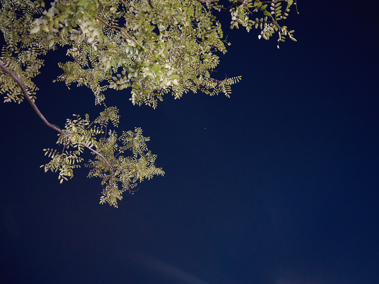 拍我想拍，见我所见.12