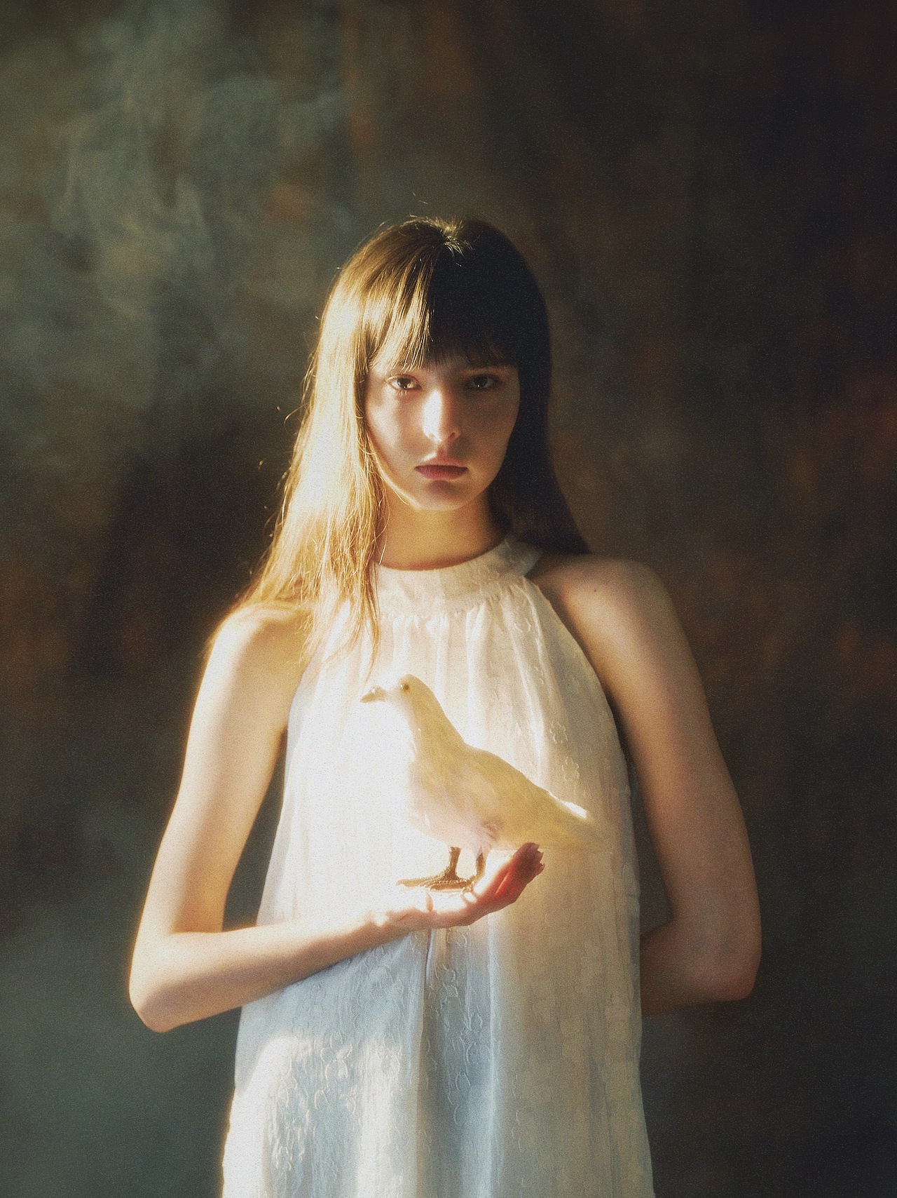 * 爱的力量是和平