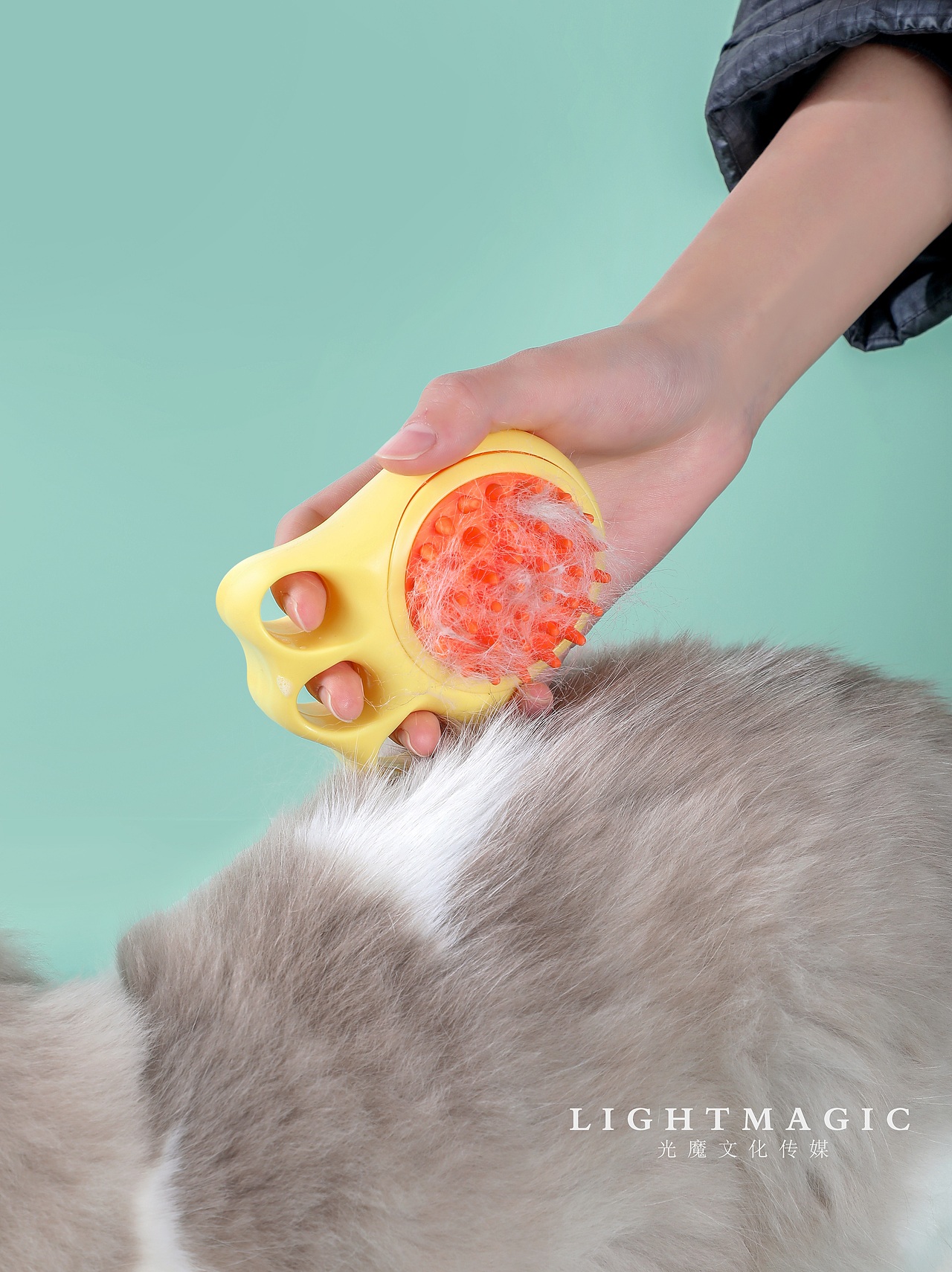 宠物刷宠物用品