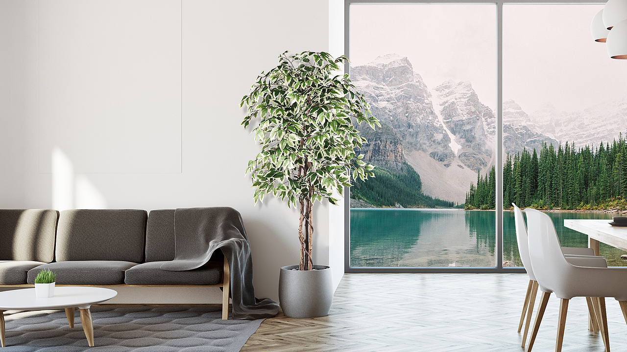 绿植视频（图ZMzQxODEzNjA4） - 电商 - 站酷设计师麦麦的唛原创素材 - 站酷ZCOOL