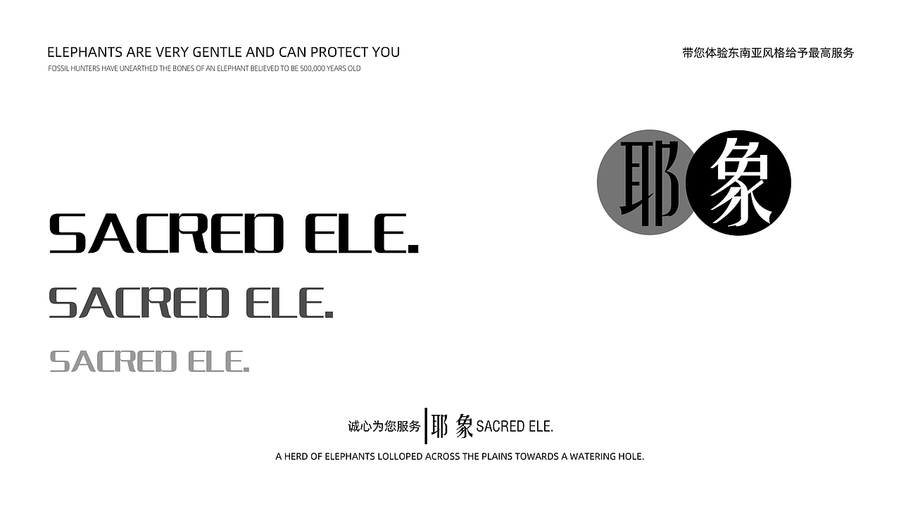 大象ip｜耶象民宿 品牌延展