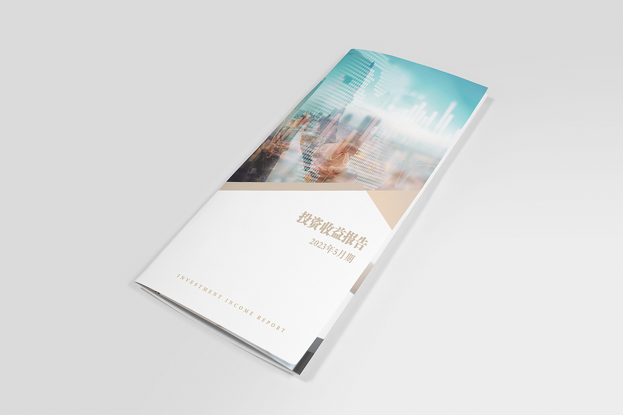金融投资公司客户投资收益报告