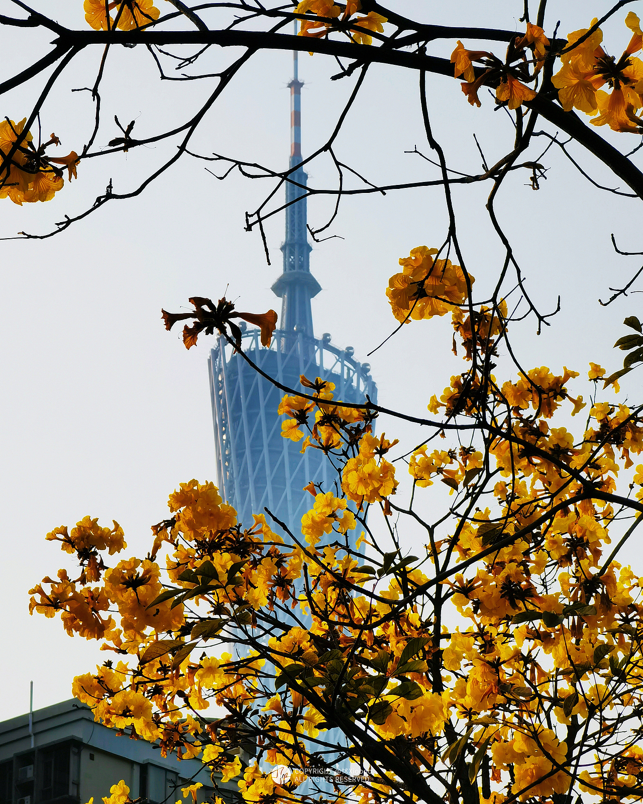 2023怵xiooo手机摄影