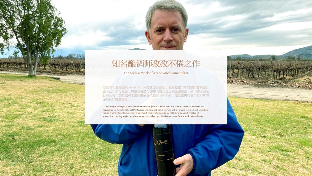 T.D.P丨JADE品牌设计一期(图ZMzUzNzUyOTUy) - 品牌 - 站酷设计师他山做法原创素材 - 站酷ZCOOL