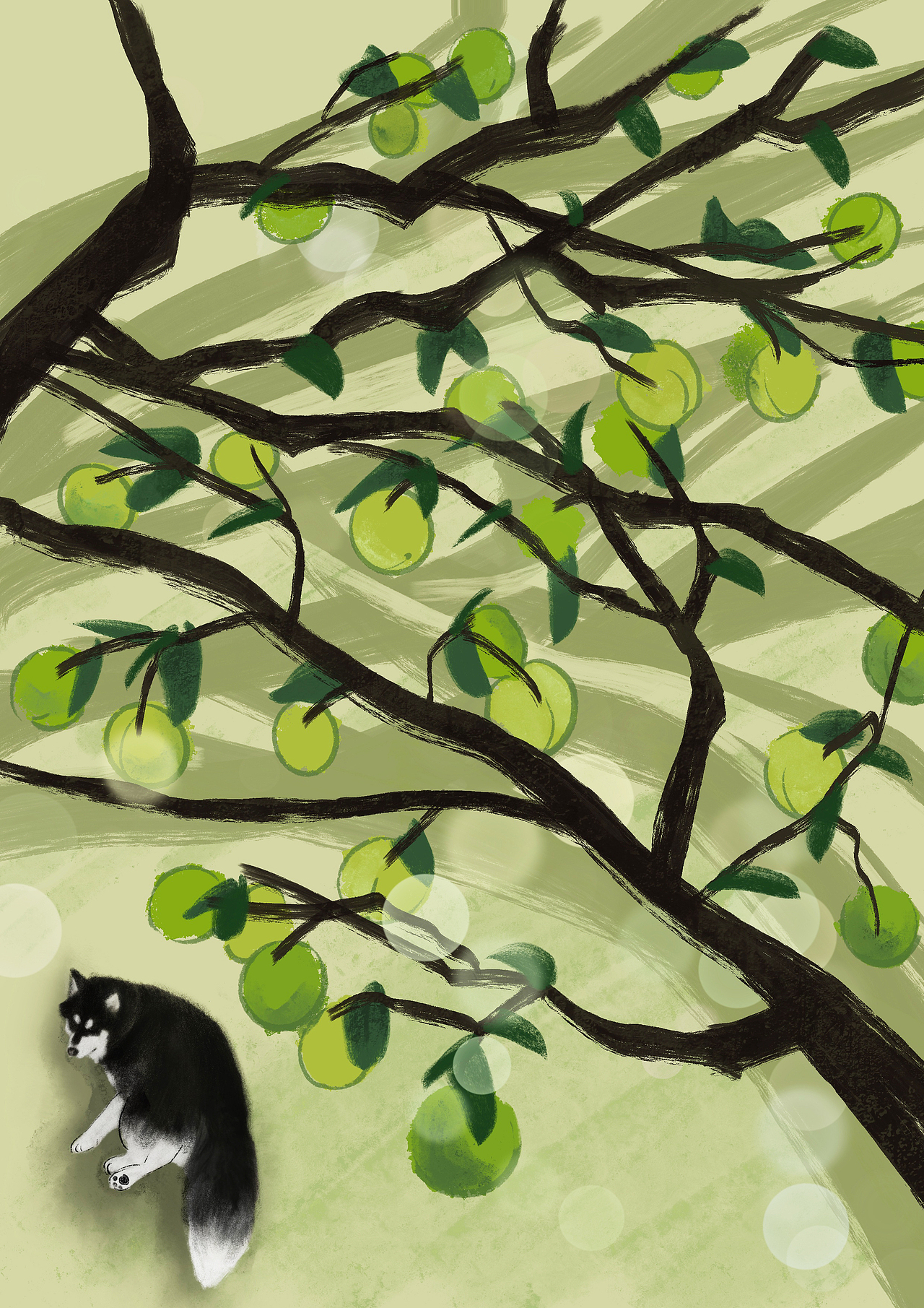 陪我走过不止二十四节气