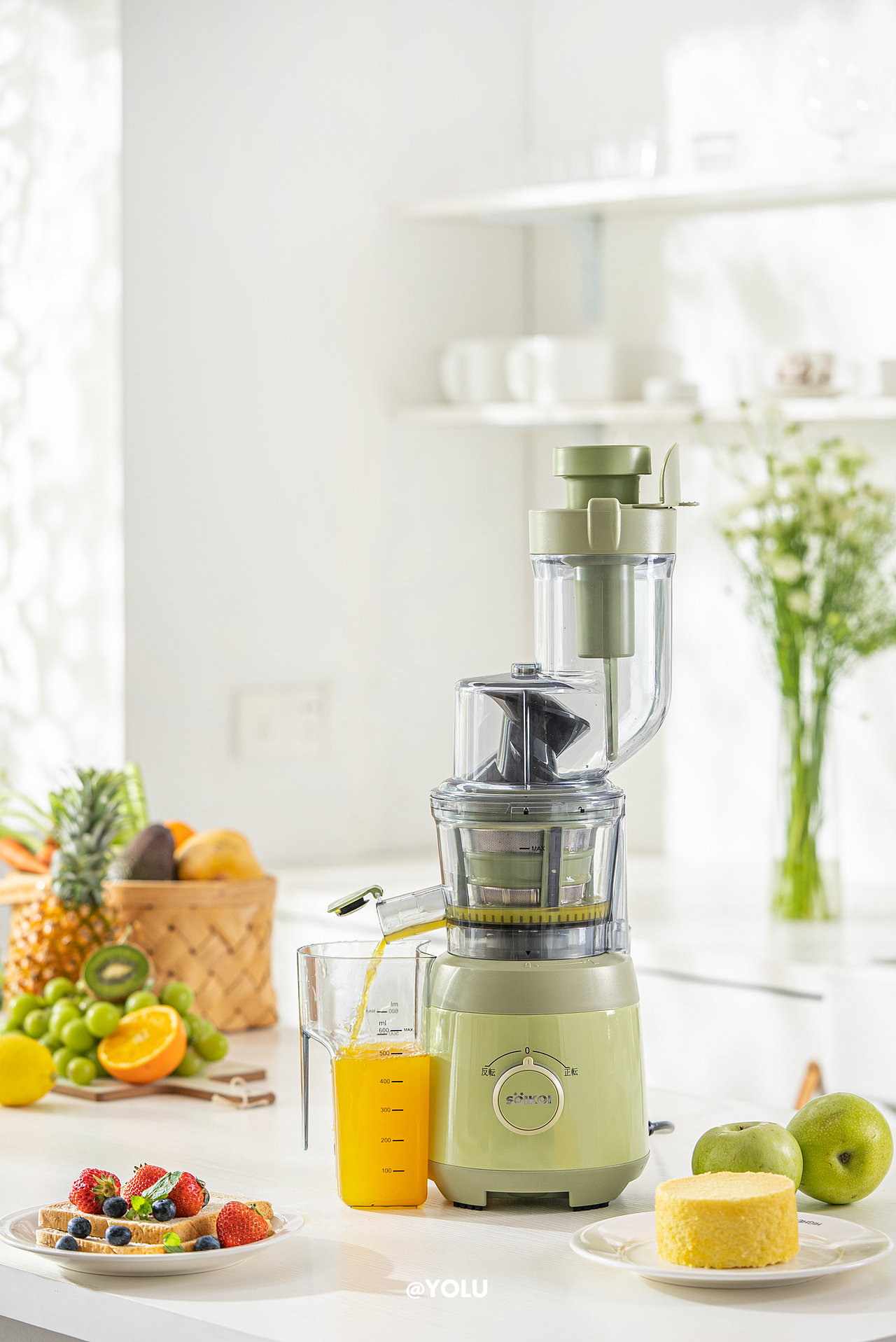 司崎库X小家电系列拍摄 爱了这抹绿