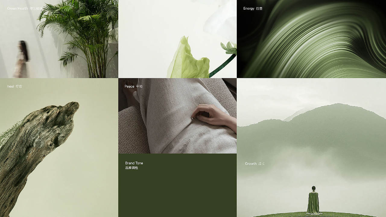 新芳向-全球芳香生活社