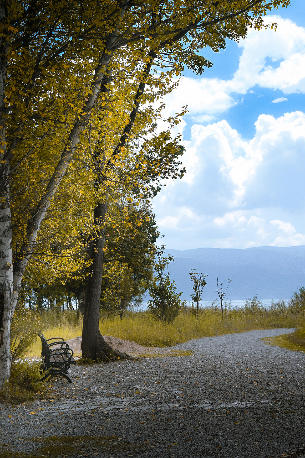 初入摄影,记录生活