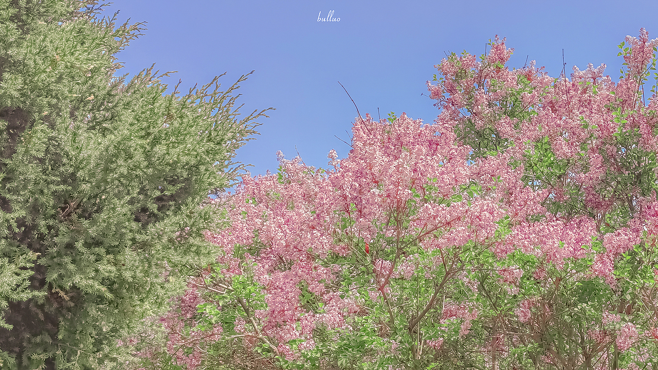 手机摄影合集2（图ZMjk5NzA4OTIw） - 风光摄影 - 站酷设计师限时救援原创素材 - 站酷ZCOOL