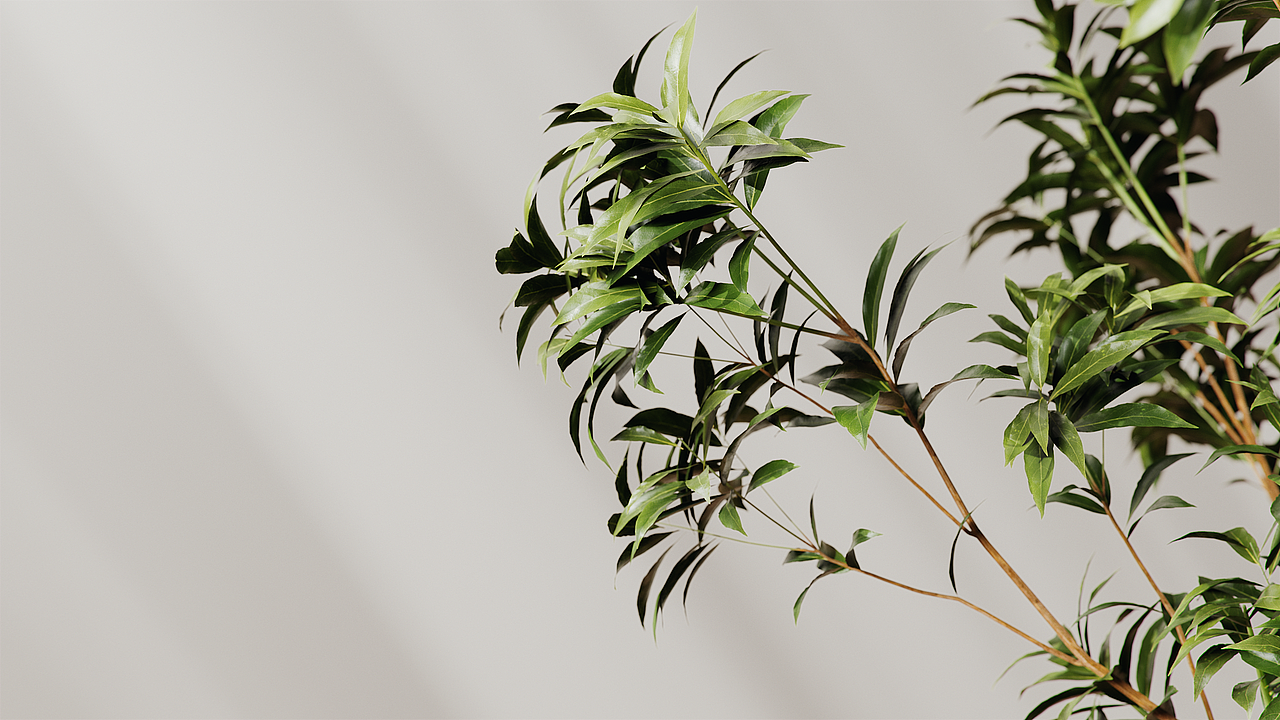 2023第一季度作品合集