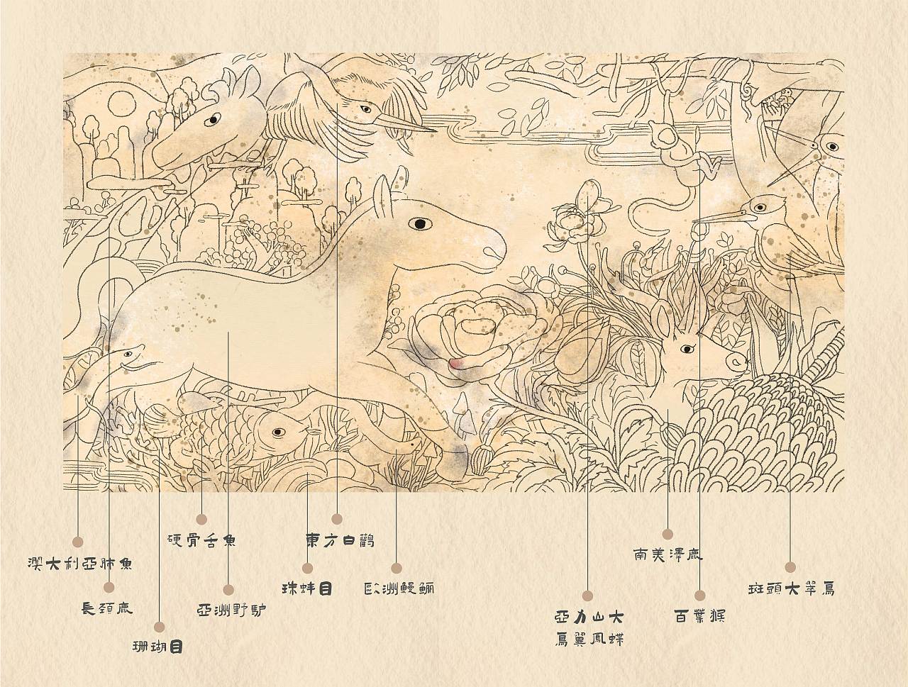 珍稀动物100 x 站酷（图ZMzY1NDQ0MjUy） - 艺术插画 - 站酷设计师西西西西尼原创素材 - 站酷ZCOOL