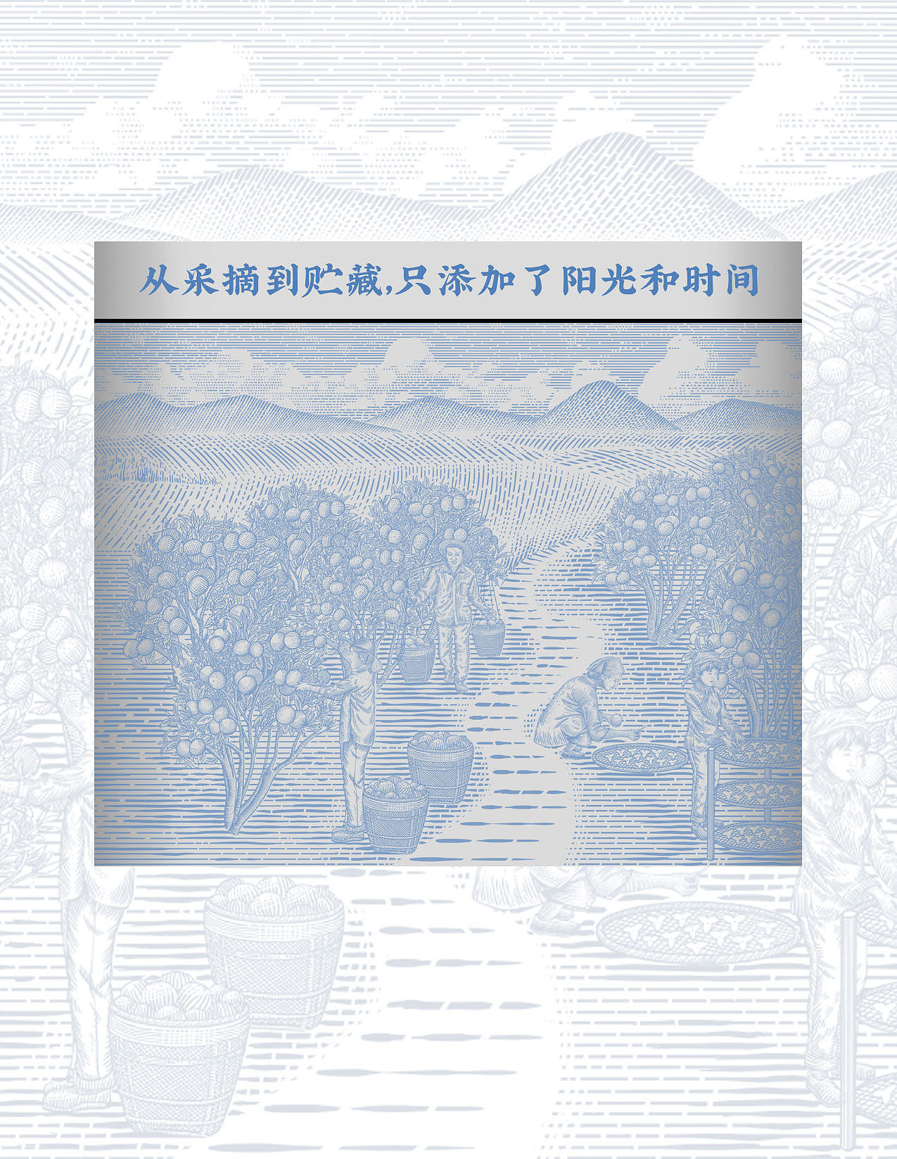 包装设计 陈皮包装 新会陈皮系列包装 礼盒 陈糊涂设计