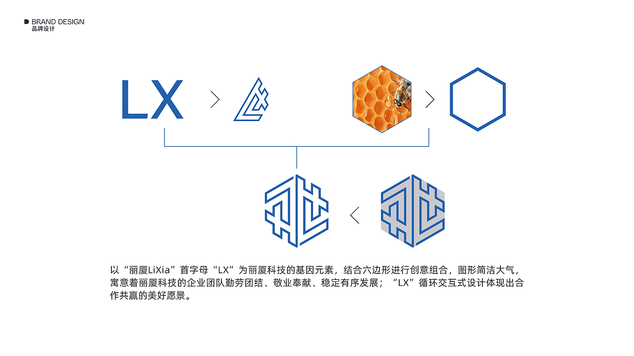 品牌设计-丽厦科技品牌标识视觉设计