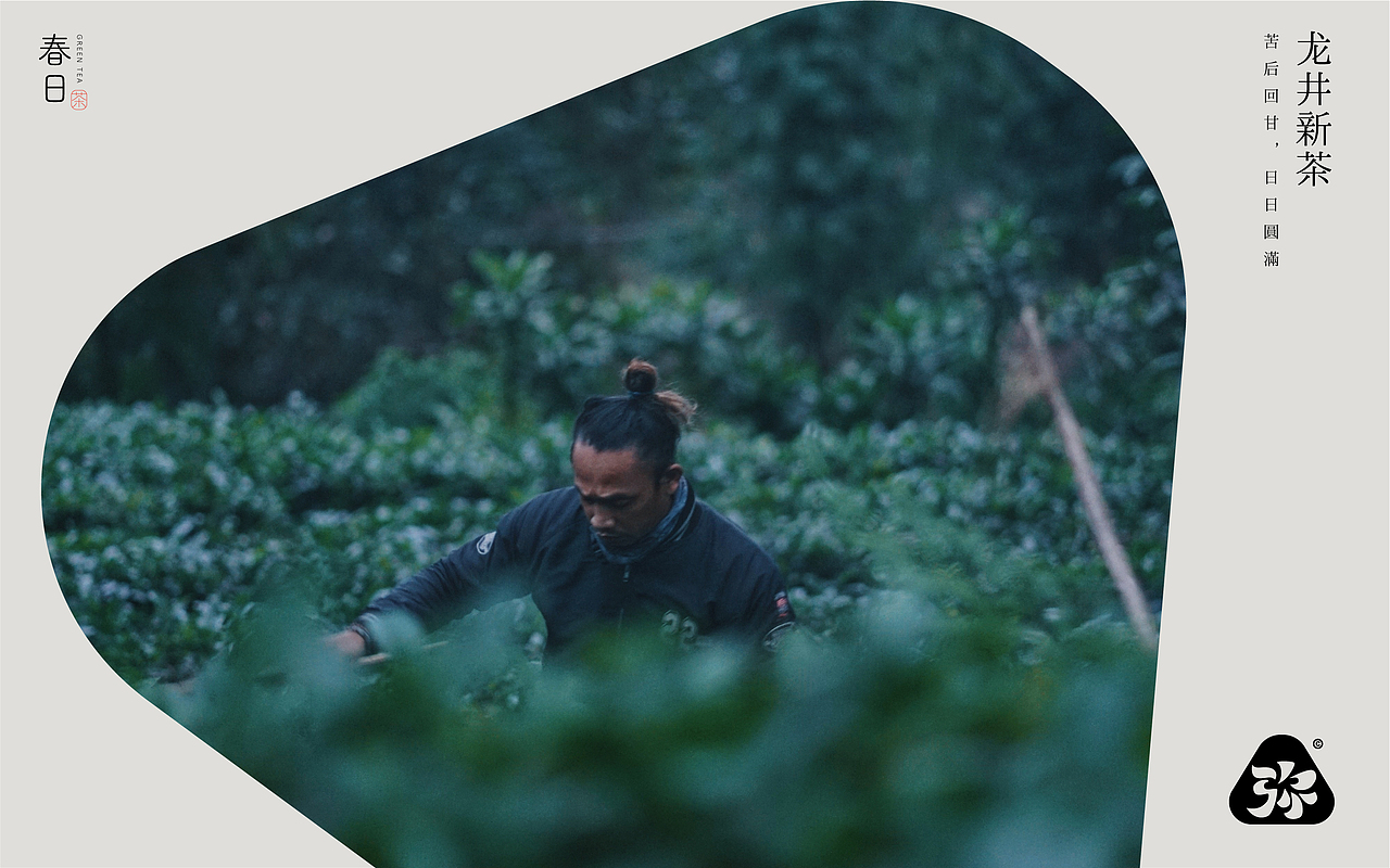 中国茶包装|忽见茶|让年轻人日日饮好茶