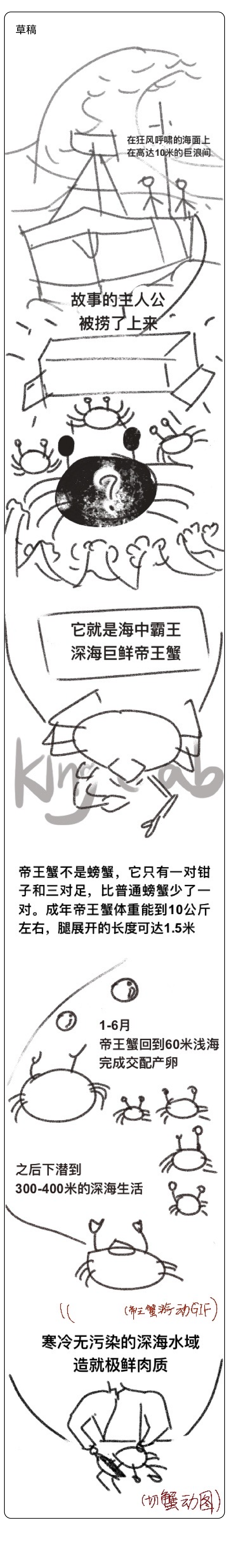 【长图文】深海的礼物,霸气的美味|帝王蟹