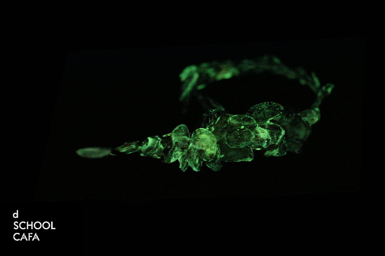 #2022青春答卷#我从哪里来