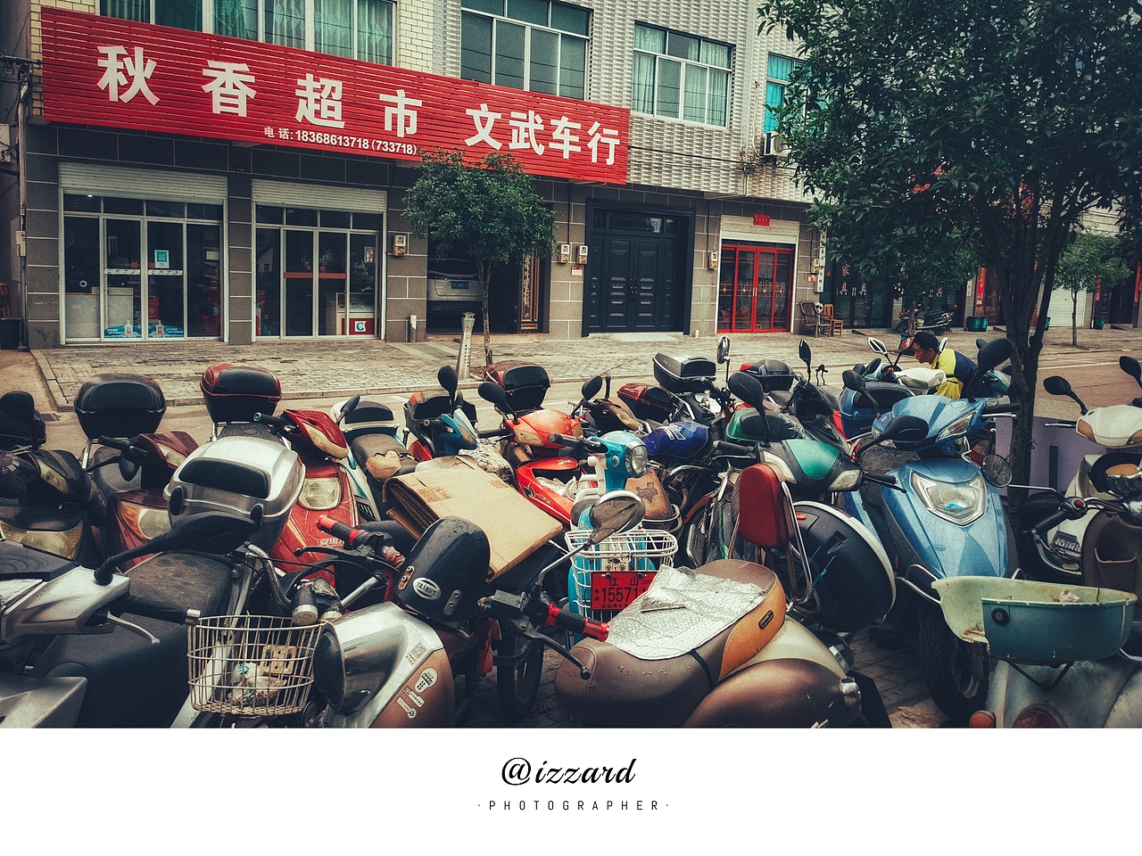 《凤栖梧林》（图ZMzE5MTk1MTU2） - 人文/纪实摄影 - 站酷设计师IZZARD盜原创素材 - 站酷ZCOOL