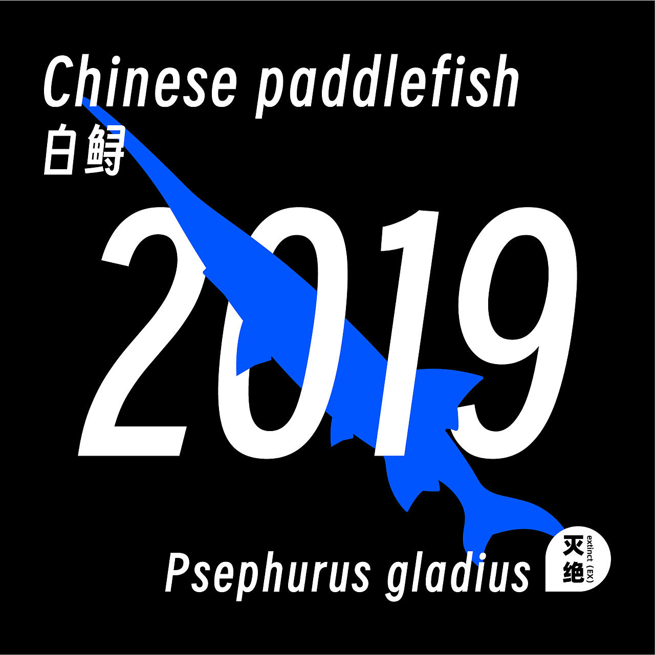 #2023 青春答卷#《白鲟》