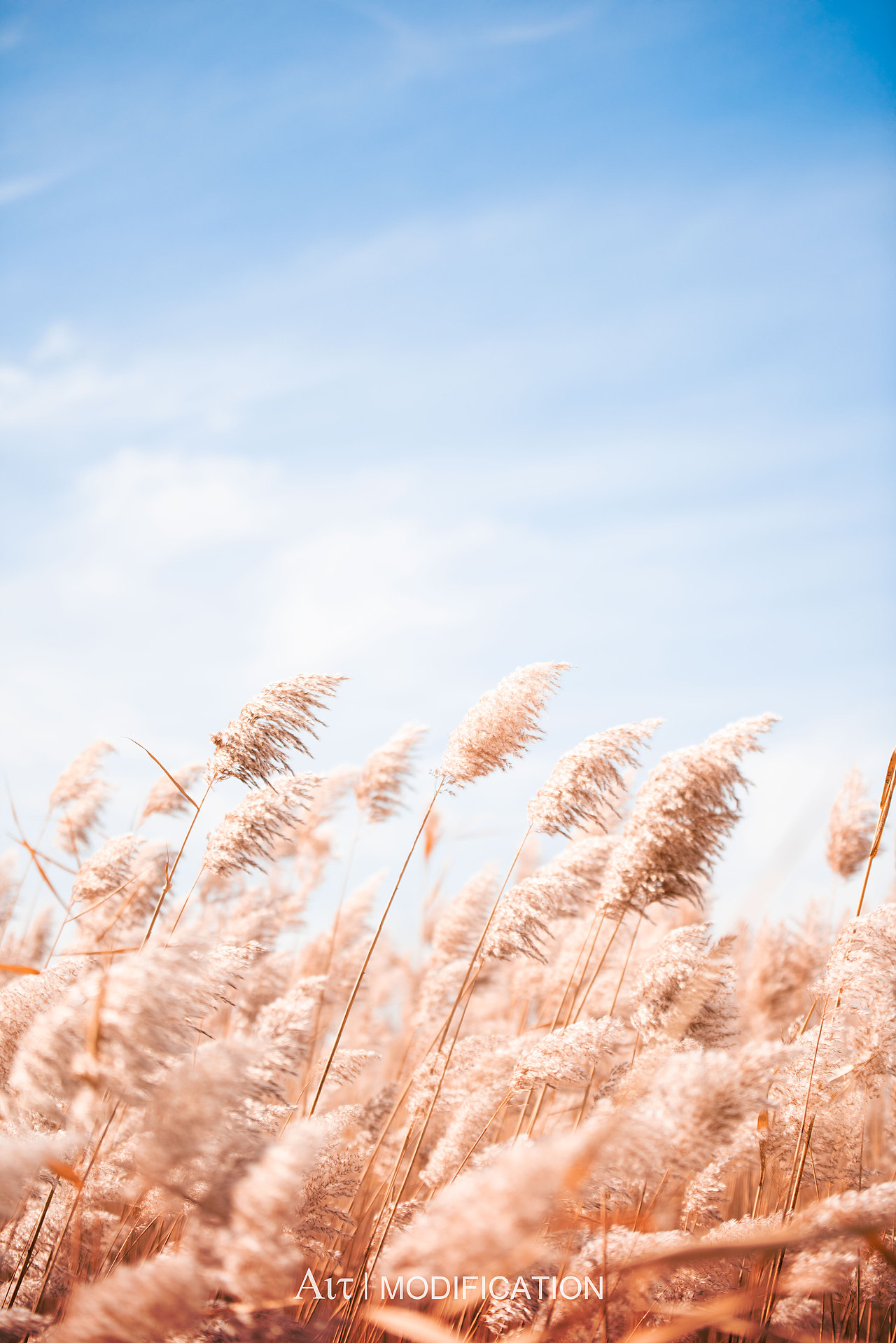 部分风景摄影（图ZMzE5NTczODgw） - 风光摄影 - 站酷设计师Ait_z原创素材 - 站酷ZCOOL