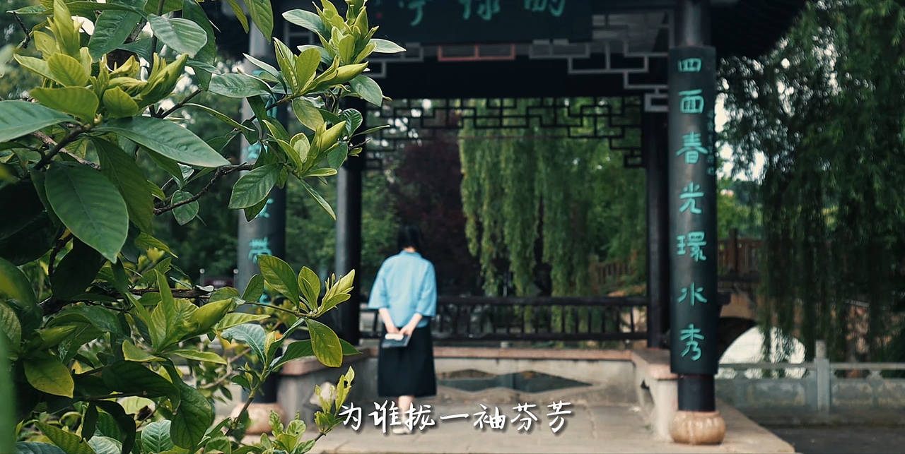 我在浔阳遇见你