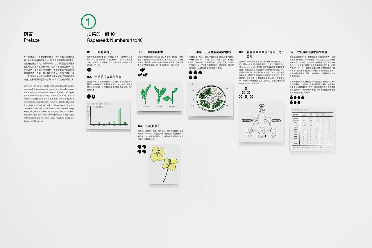 沙洋油菜博物馆