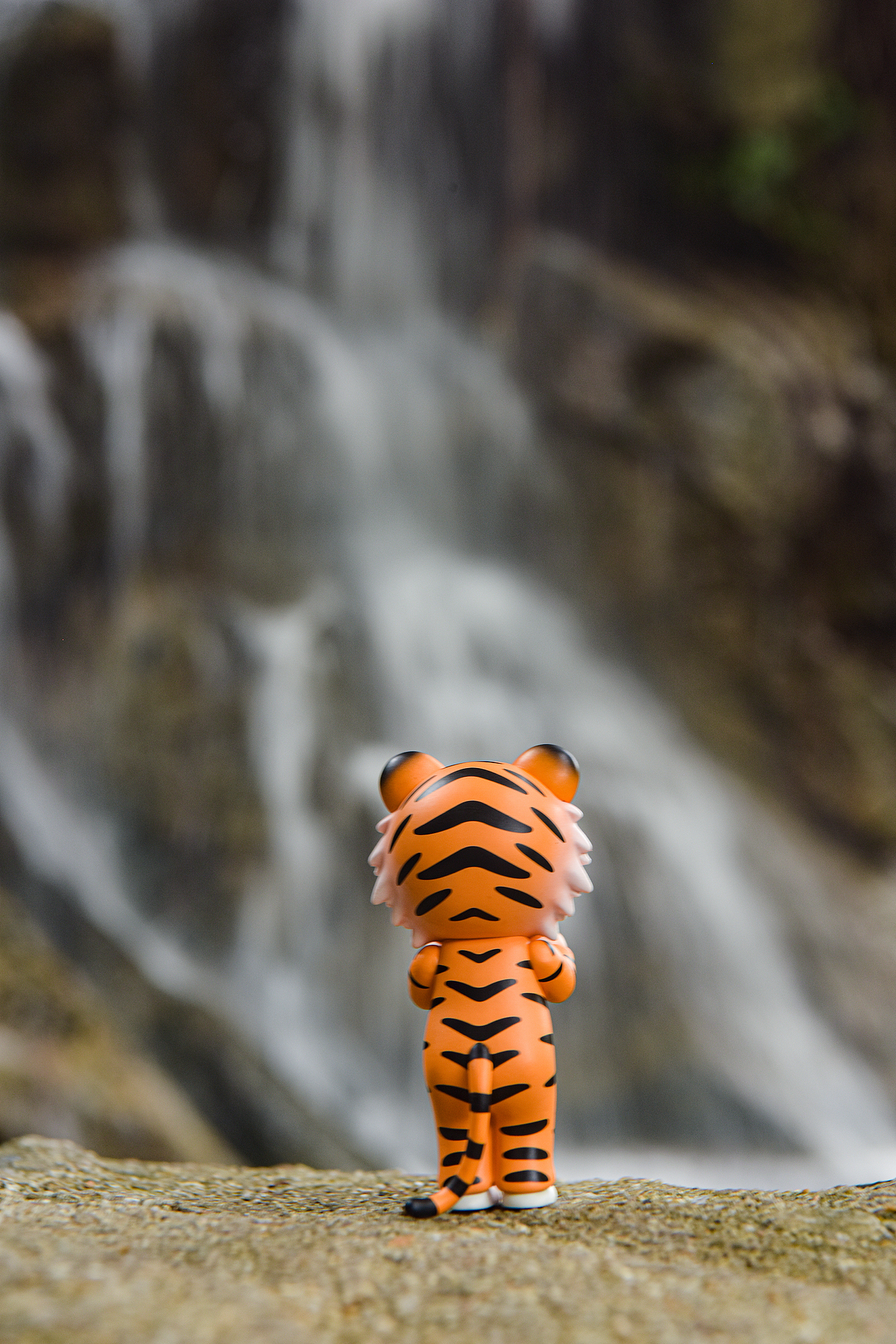 空空带虎虎游花果山水帘洞