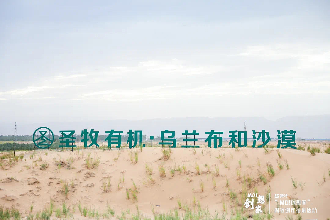 蒙牛 —《元气萌主奇遇记》（图ZMzEzNzUzMTg4） - 商业插画 - 站酷设计师COUBAO凑宝设计原创素材 - 站酷ZCOOL