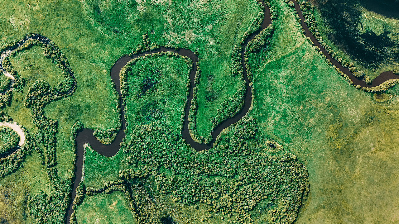 内蒙《放风的羊》品牌广告拍摄