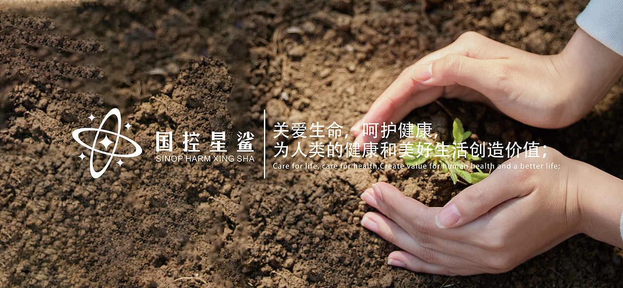 凭“星”而来，“鲨”耀新生（图ZMjk2Mzk3OTky） - Logo - 站酷设计师一直H安静原创素材 - 站酷ZCOOL