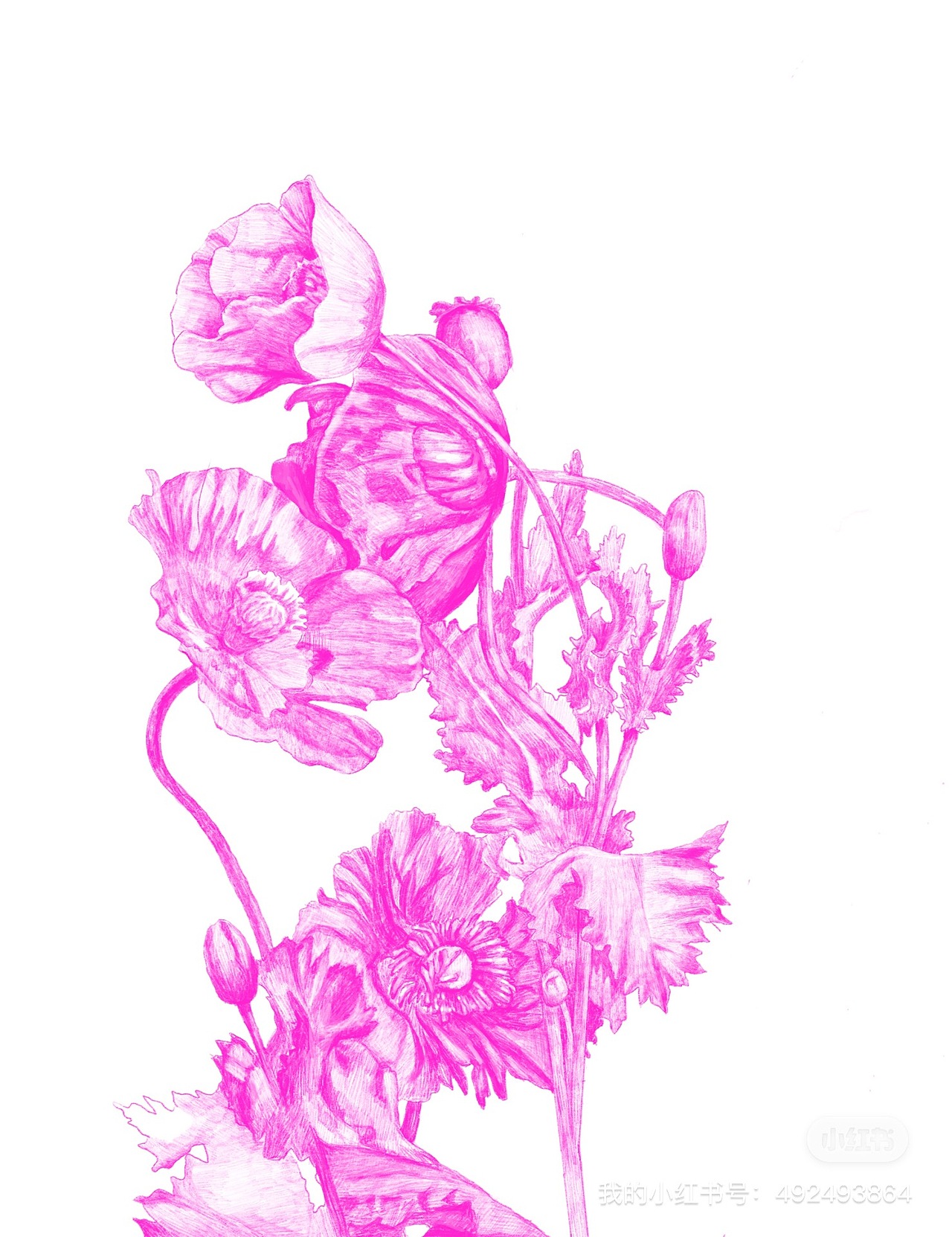 香薰插画包装设计（图ZMzMyNDQ1Mjgw） - 商业插画 - 站酷设计师小野M原创素材 - 站酷ZCOOL