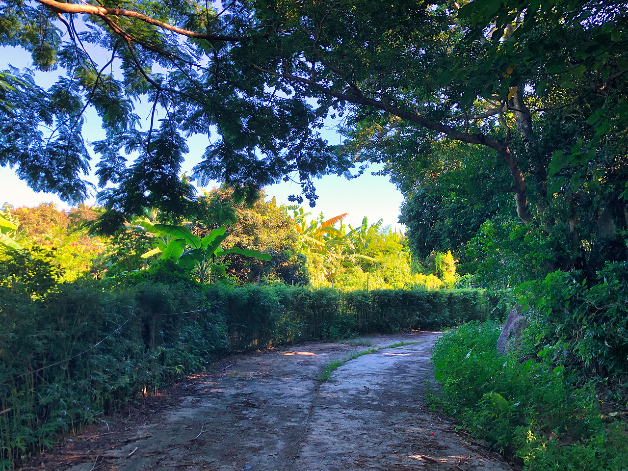 深圳大鹏东山寺（图ZMzQ1NTkxMTU2） - 风光摄影 - 站酷设计师limin2019art原创素材 - 站酷ZCOOL