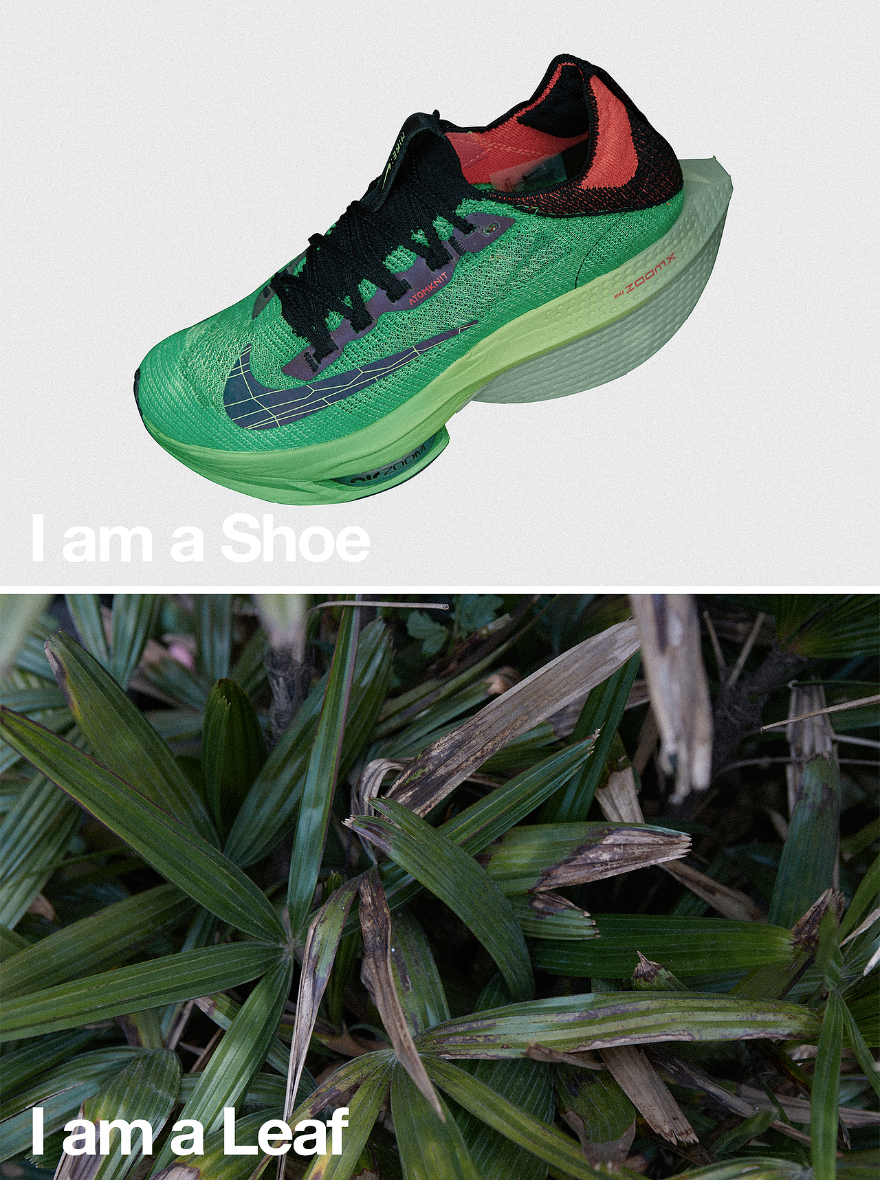 NikeAlphafly NEXT%2箱根驿传自然光+场景合成（花絮）（图ZMzQwMzM4MzYw） - 产品摄影 - 站酷设计师蒙现军原创素材 - 站酷ZCOOL