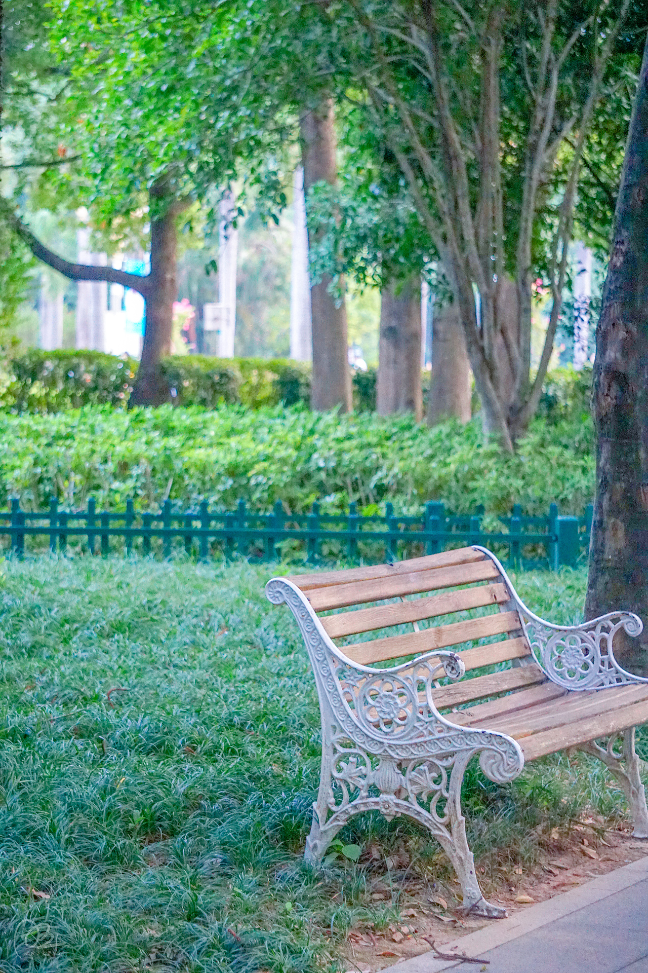 福州丨温泉公园（图ZMzIzNTYyMDA0） - 人文/纪实摄影 - 站酷设计师炭烤旺旺原创素材 - 站酷ZCOOL