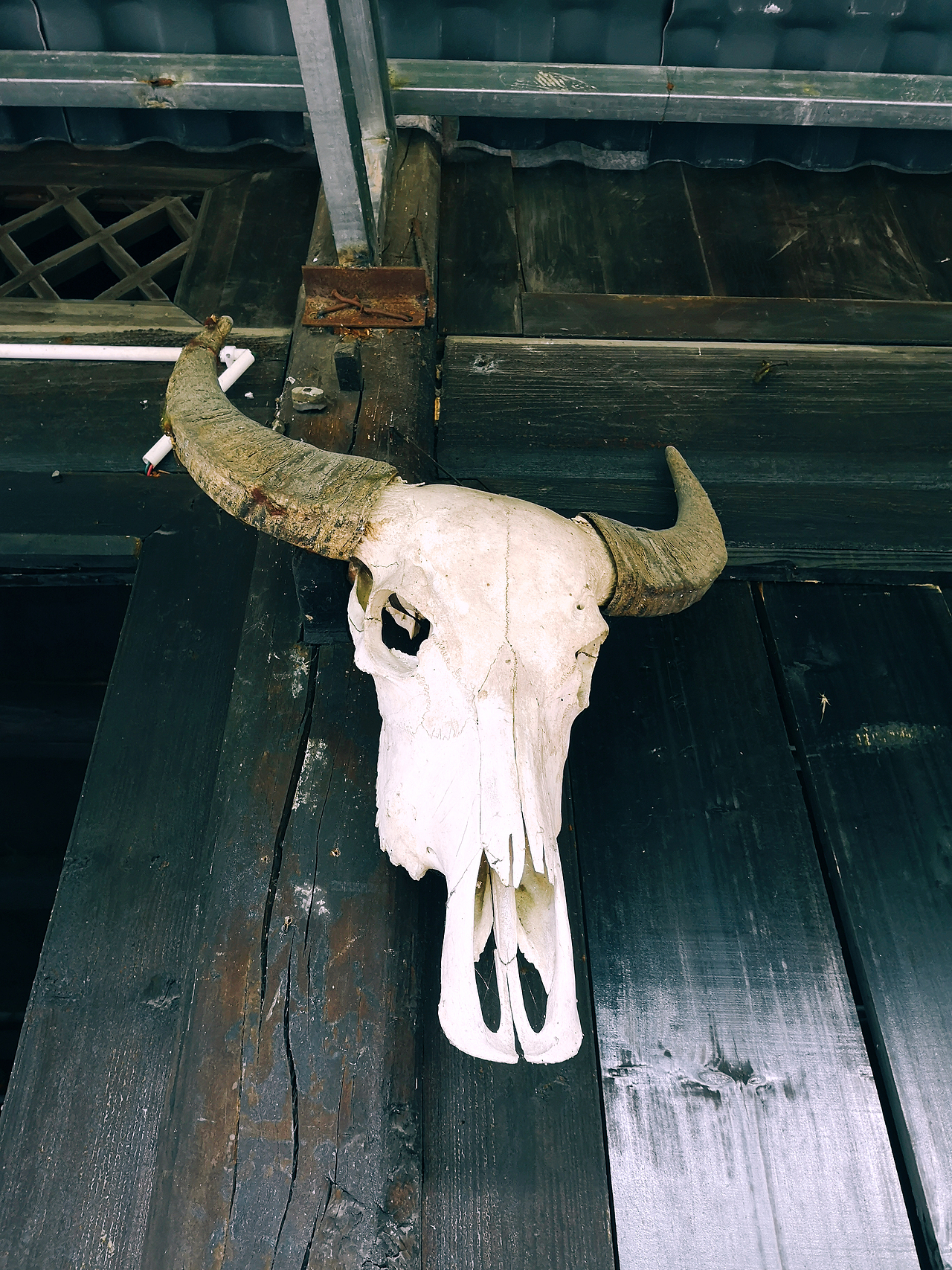 继续往苗寨里跟着团走,会来到一个苗妹子家里喝茶品茶,推销当地茶叶,需要购买,不强求。喝完茶,继续往山上走,到一位老人家看一场巫术表演,大致情节是大师施法,然后请两位情侣测试,两人站竹竿两头,抬起竹竿,预测两人能在一起的话,竹竿会通过莫名的“神力”靠拢在一起,特别神奇。。。也有点瘆人,忘记拍照片,最后逛土特产商店结束,赶往下一个旅行景点。。。