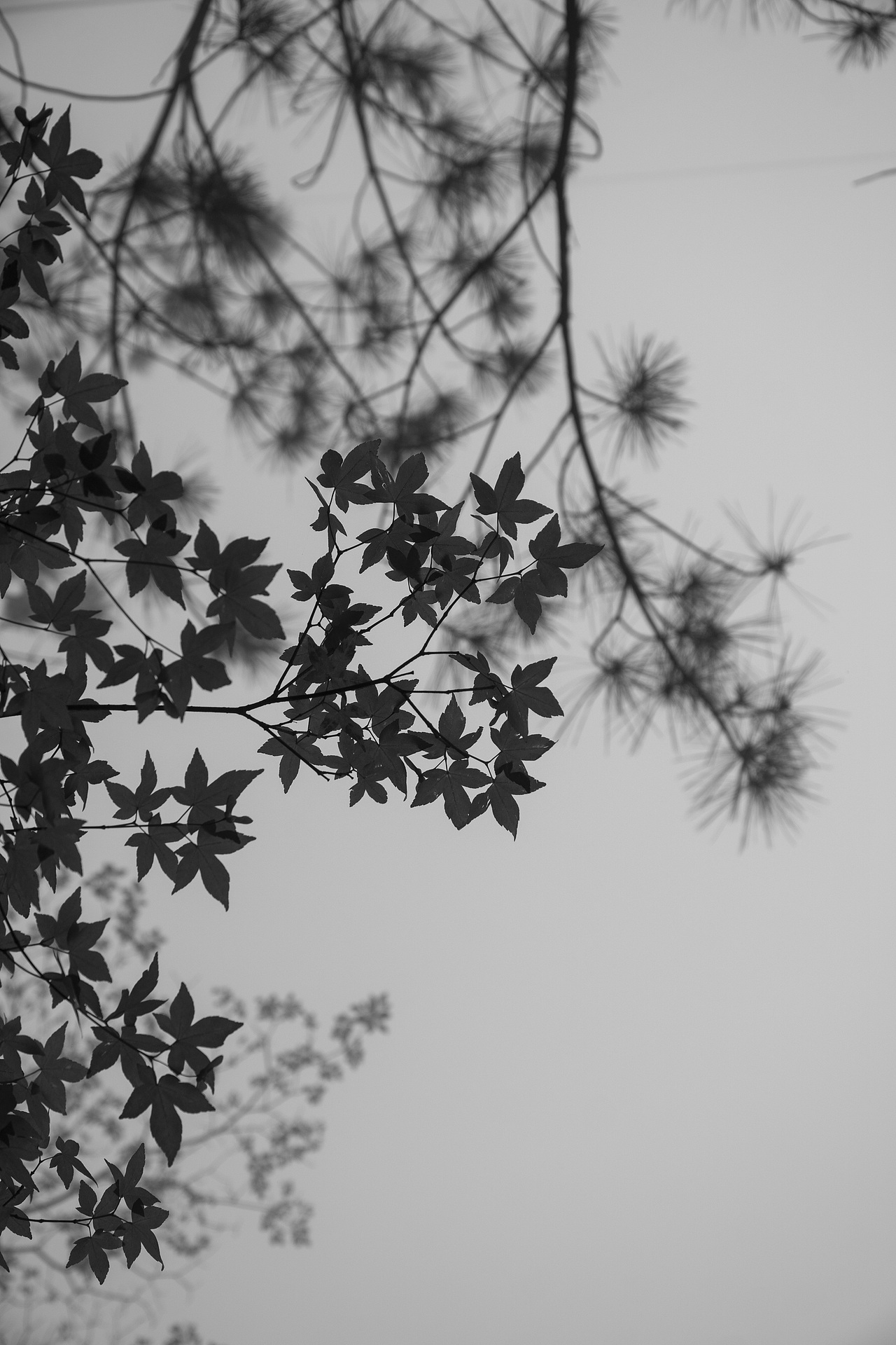 福建泉州游记-市区、惠安、石牛山