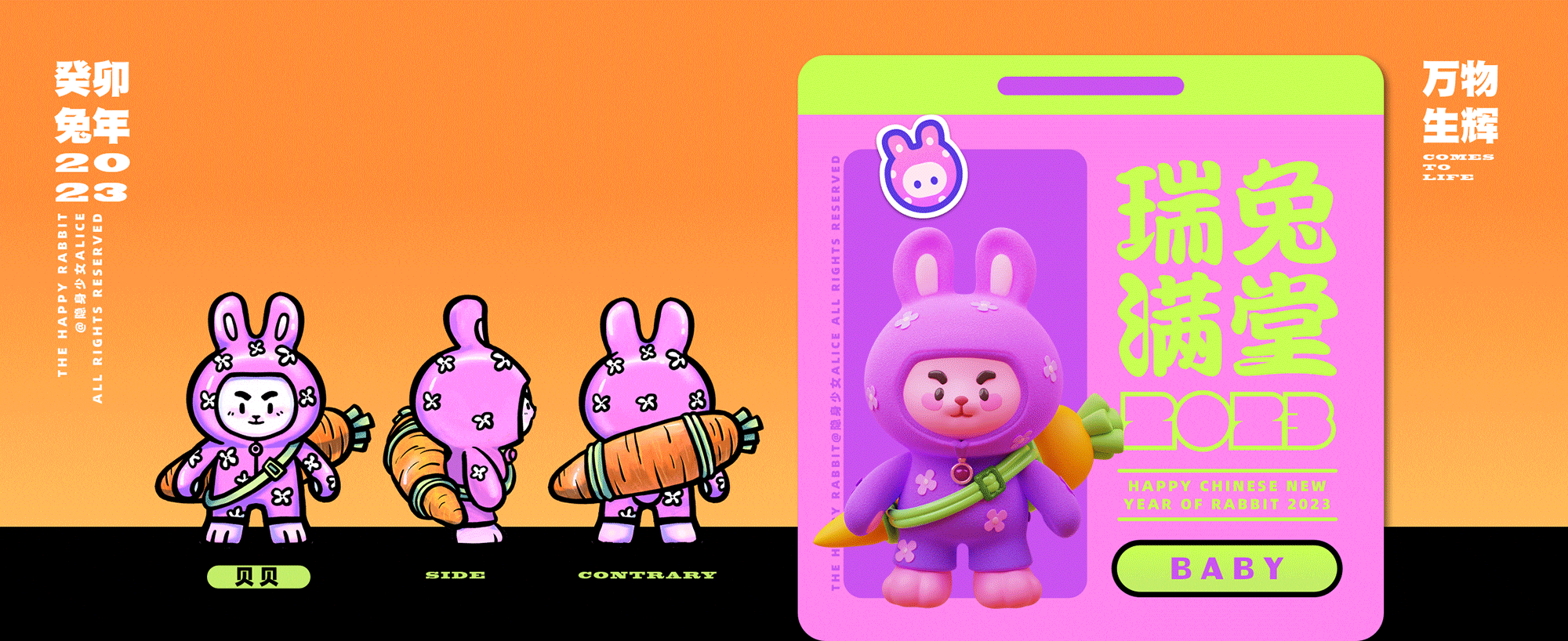 兔子贝贝 BABY
胡萝卜绝对不离身,个子小小只的贝贝机敏和速度却都是一流的。