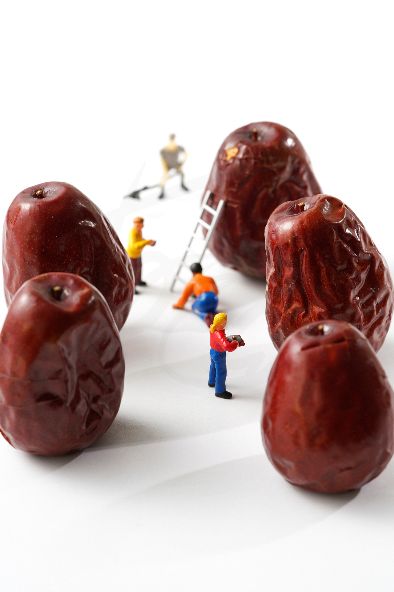 我的优秀作品精选