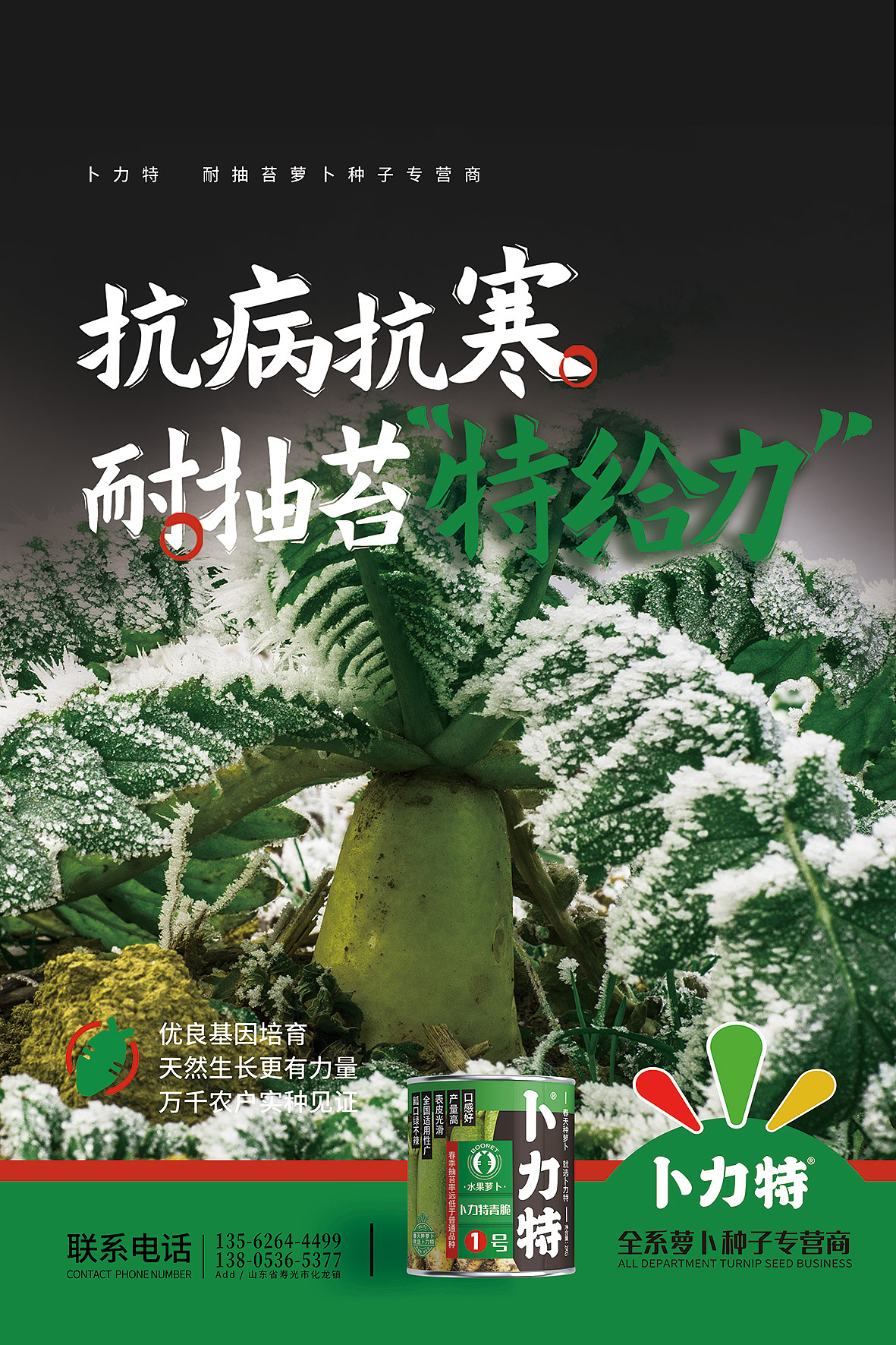 农业品牌全案设计|卜力特“春天种萝卜，就选卜力特”（图ZMzQxNjI4Njky） - 品牌 - 站酷设计师象造文创原创素材 - 站酷ZCOOL