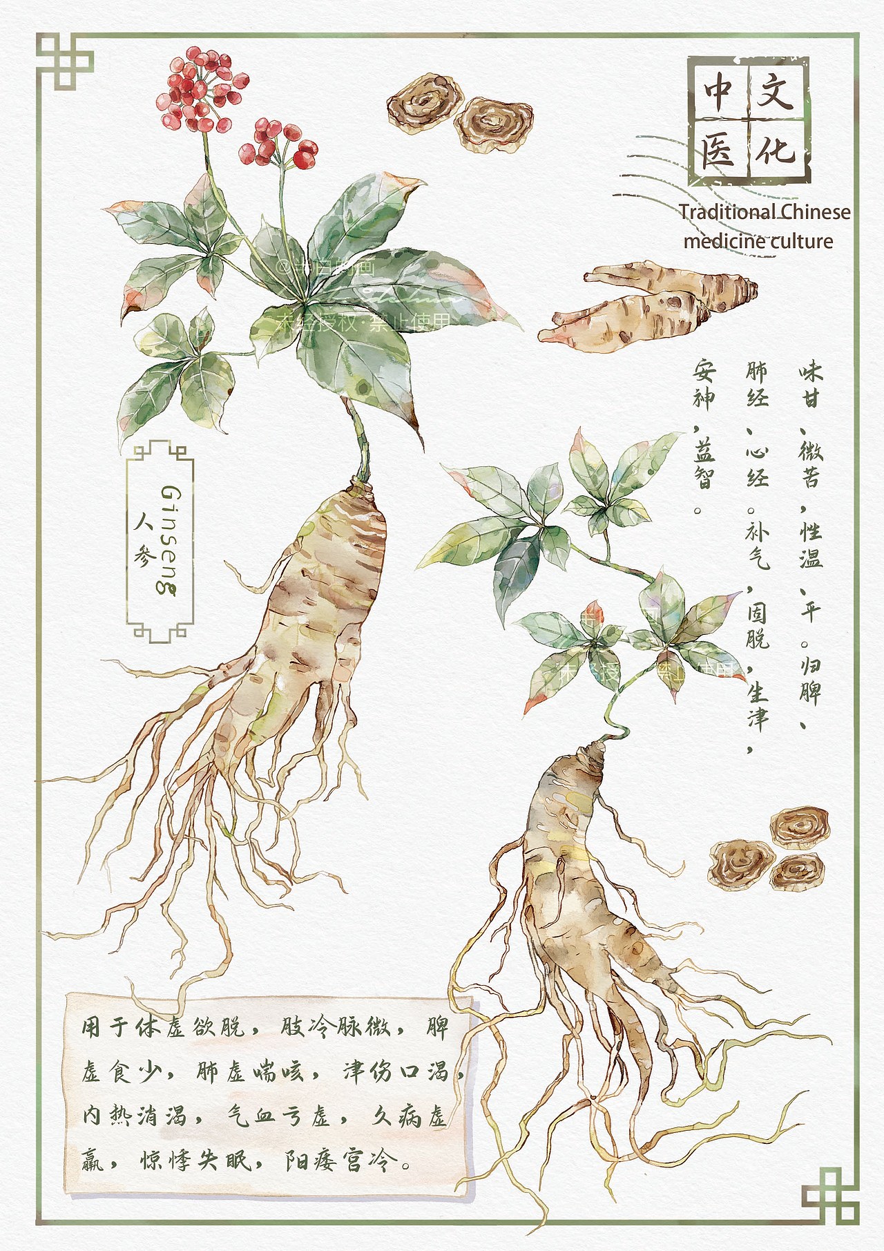中草药插画（图ZMzYxMTYxNDA0） - 商业插画 - 站酷设计师半白的画原创素材 - 站酷ZCOOL
