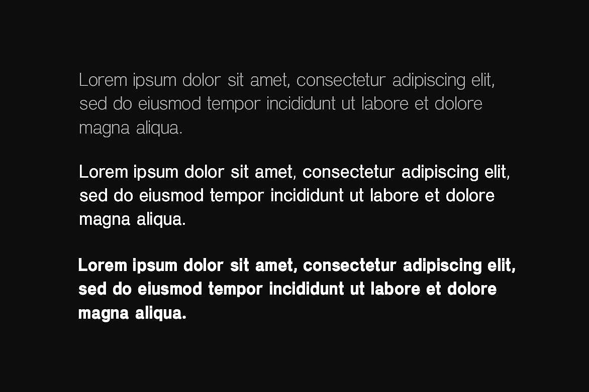 现代简约时尚品牌标识手册封面标题无衬线英文字体家族