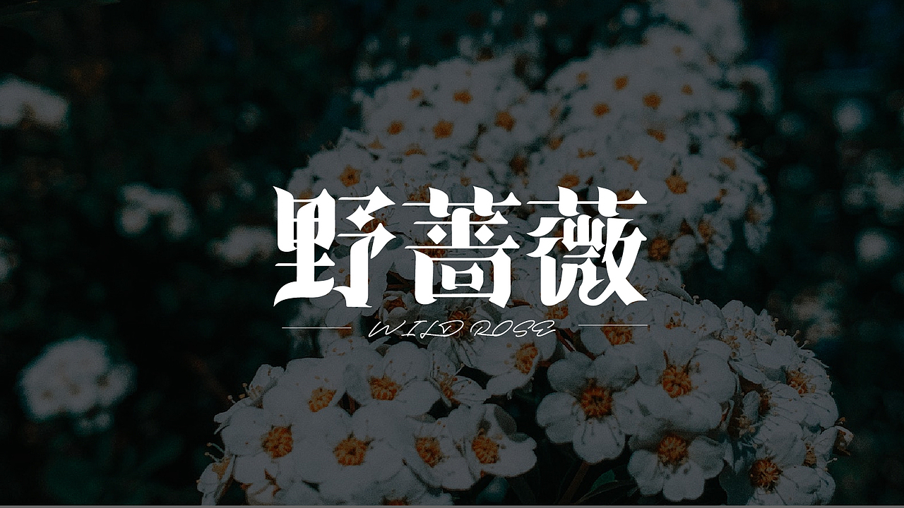 字体设计合集Font design （逐浪派对）（图ZMzYwMTU1MzE2） - 字体/字形 - 站酷设计师附耳低语原创素材 - 站酷ZCOOL