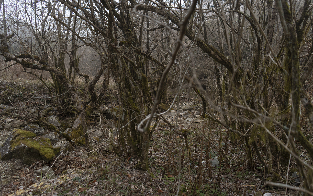 江西武功山-反穿路线（图ZMzU5NTIzODky） - 人文/纪实摄影 - 站酷设计师LMF会一直做摄影原创素材 - 站酷ZCOOL