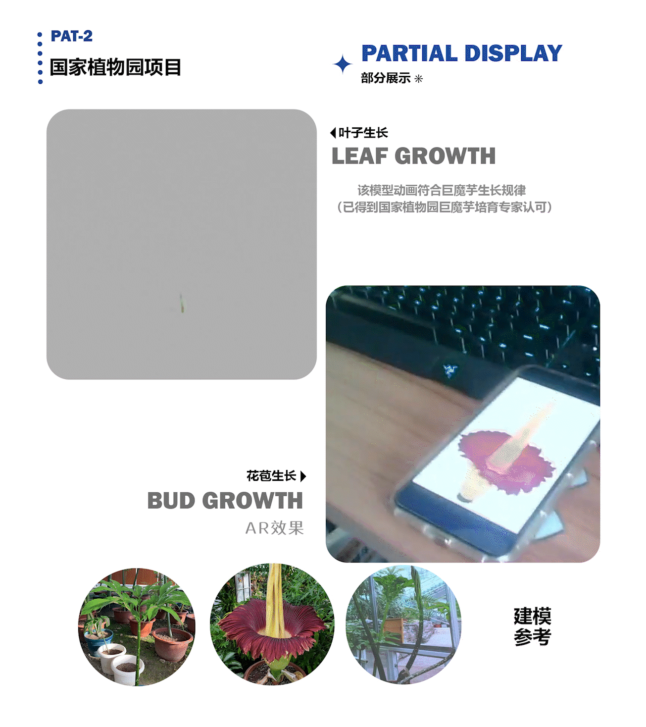 北京林业大学/数字媒体艺术/大四/小王的春招作品集（图ZMzYzNTc4MjA4） - 动画/影视 - 站酷设计师大袜子原创素材 - 站酷ZCOOL
